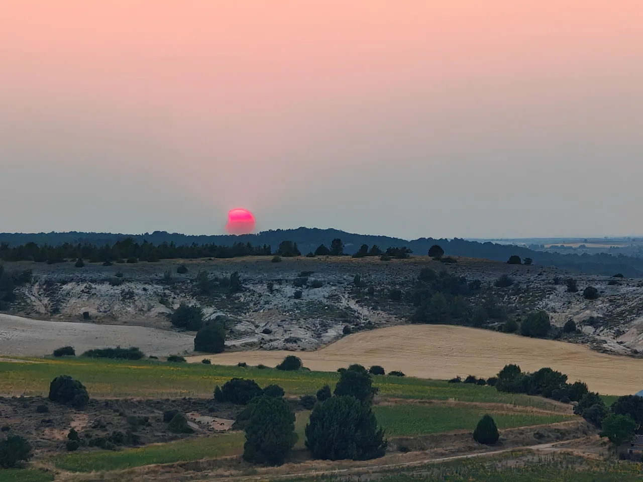 Rogent des de la terra buida