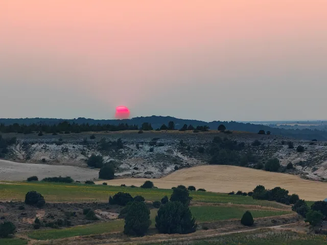 Rogent des de la terra buida