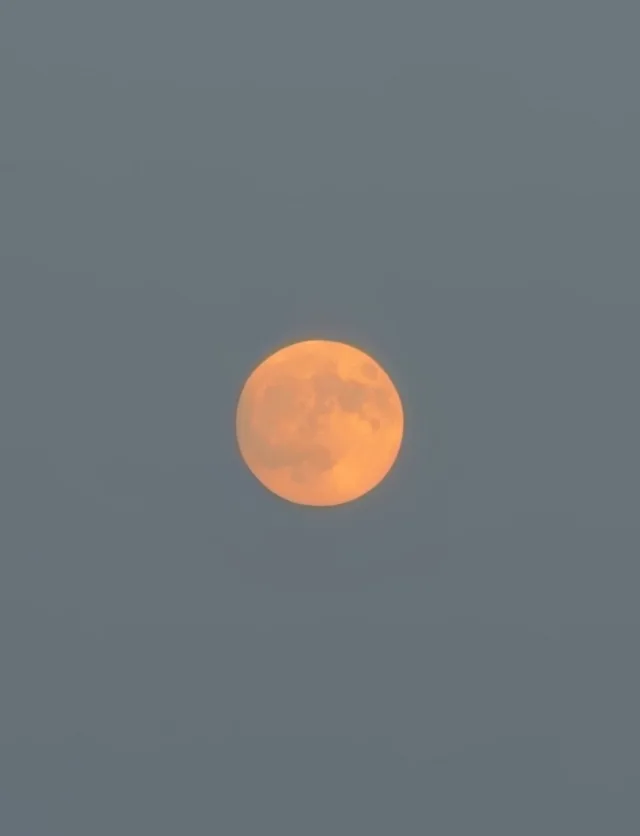 Buck Moon